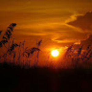 Meet your Posher, Keya